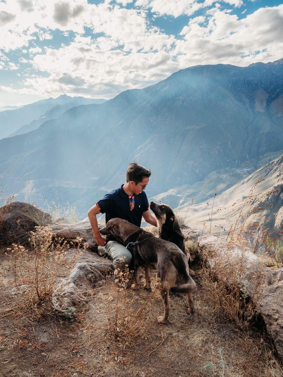 playing with the dogs at colca canyon