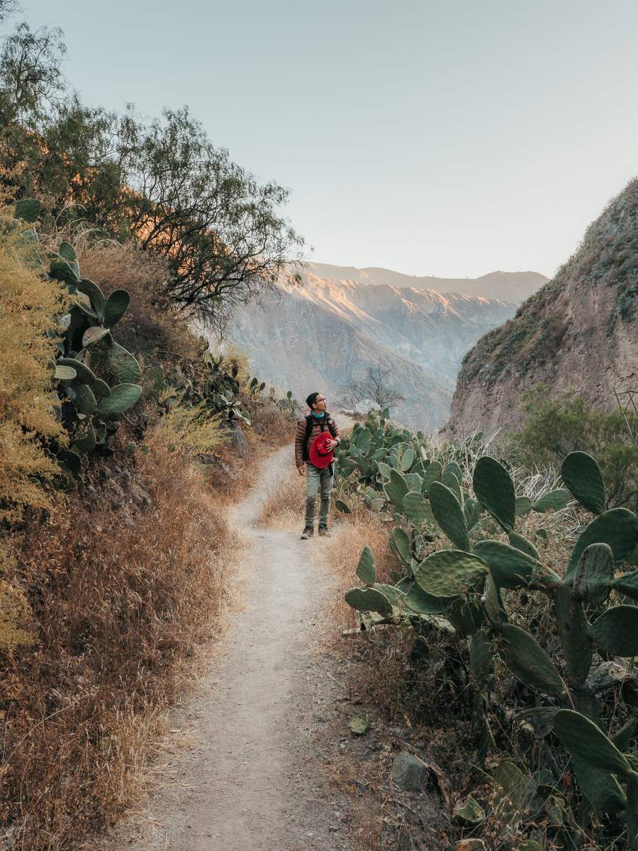 Standing with the catcus during colca canyon trek