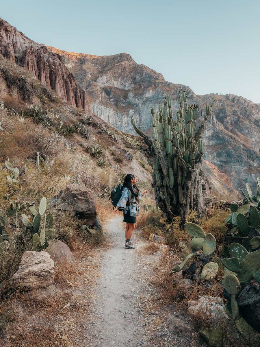 Woman standing among the cactus field in Colca Canyon Trek