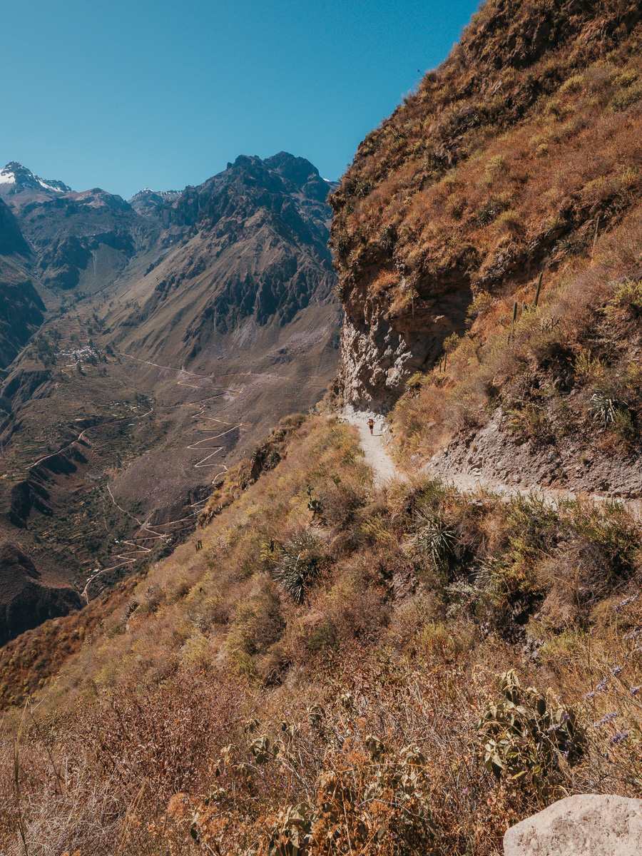 View of the immense valley of colca canyon
