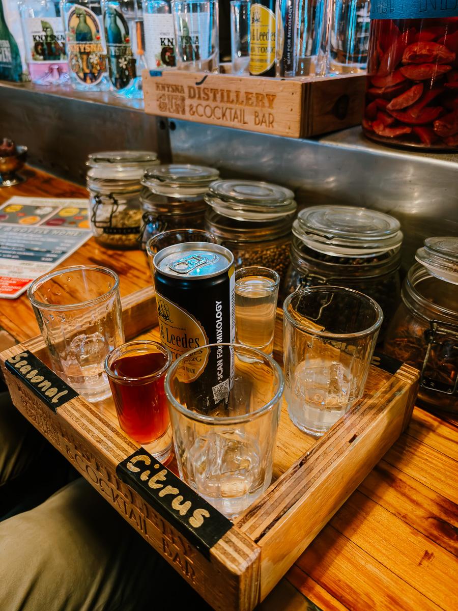 gin tasting