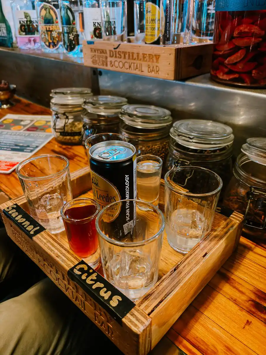 gin tasting