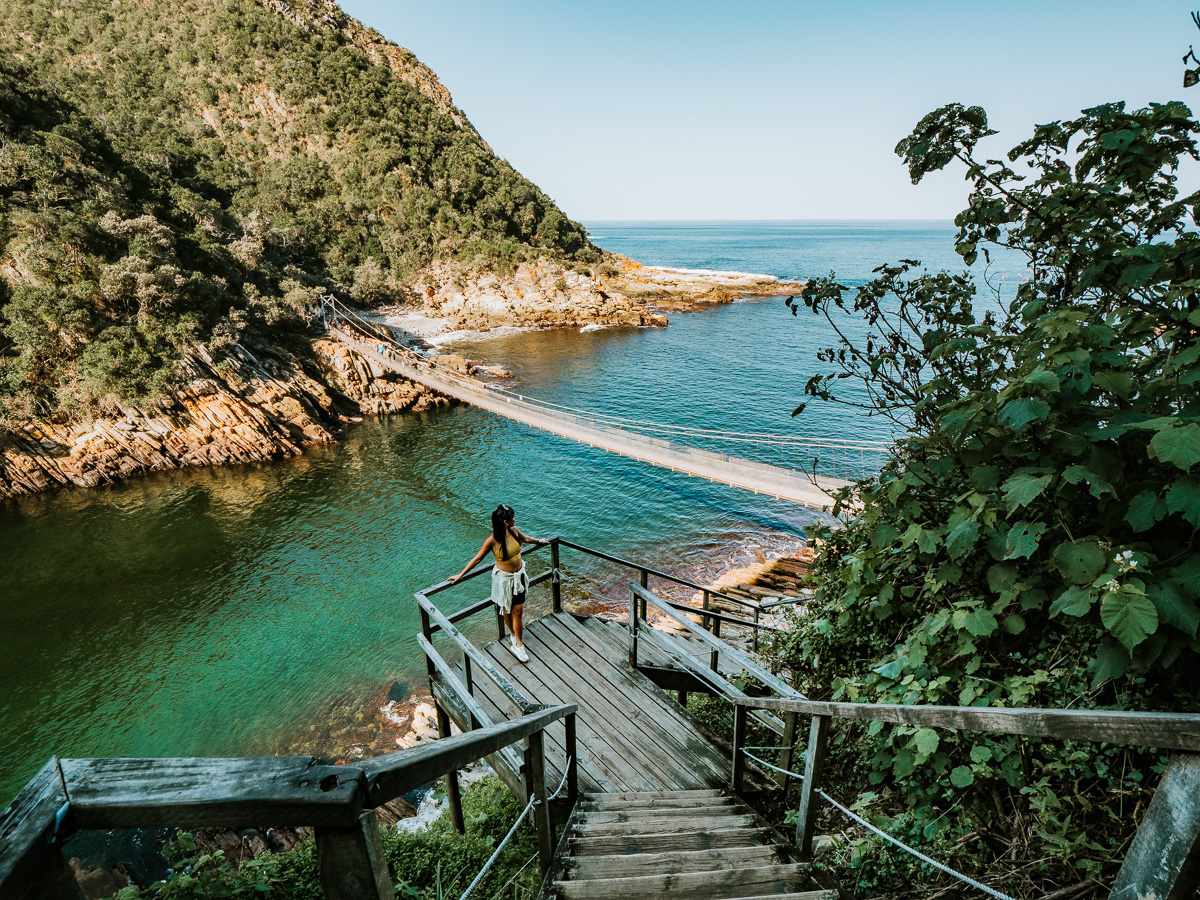 view of the suspension bridges in tsitsikamma national park