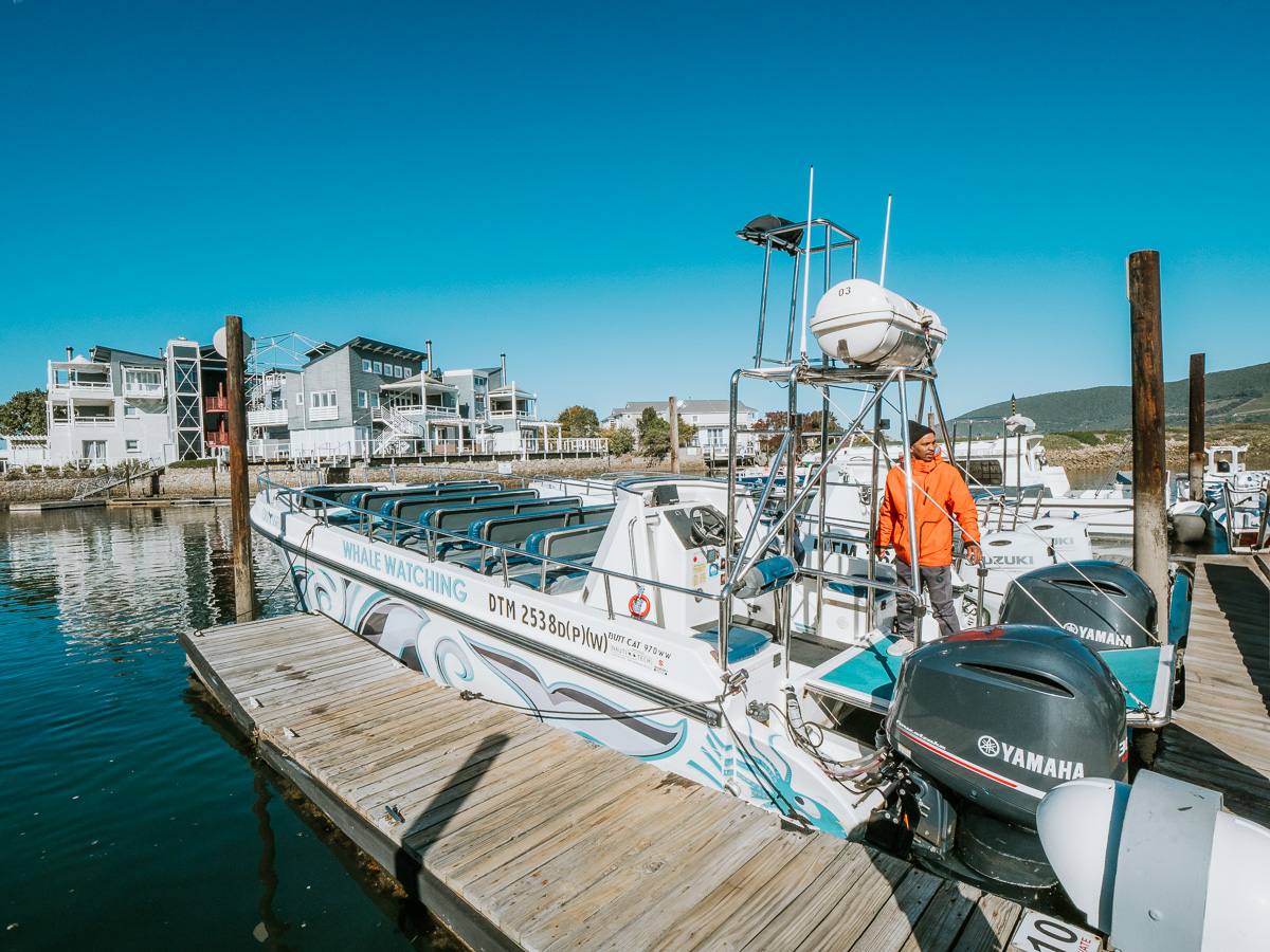 boat with ocean odyssey