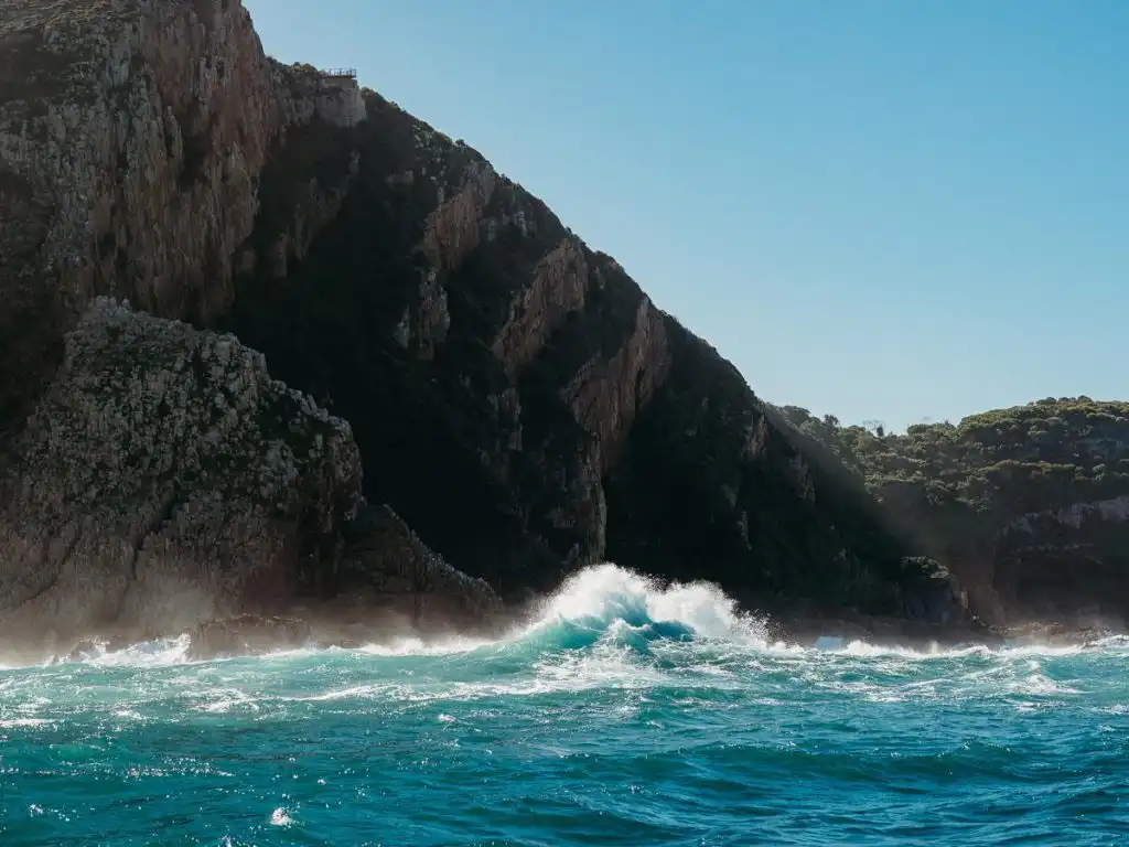 backdrop of south african coast in knysna