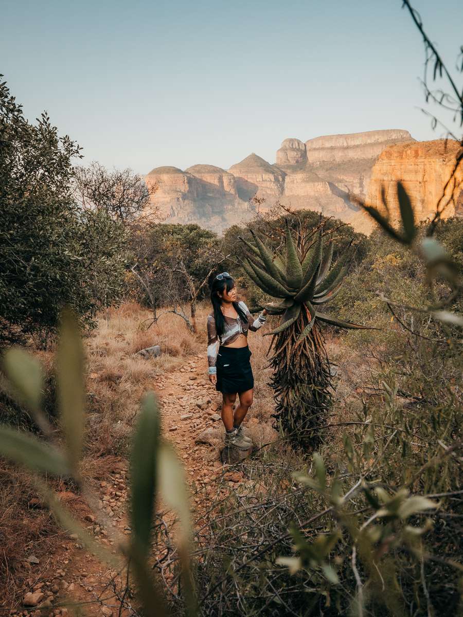 woman standing in front of aloe tree in south africa Panorama Route
