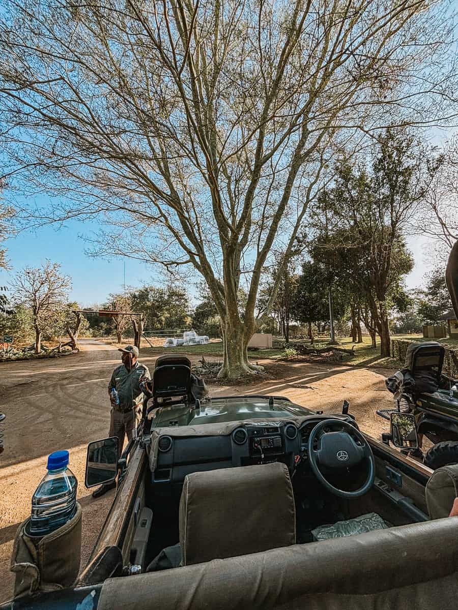 view from the game vehicle at umkumbe lodge