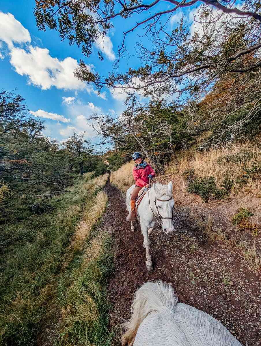 horseback riding in the forest of Patagonia
