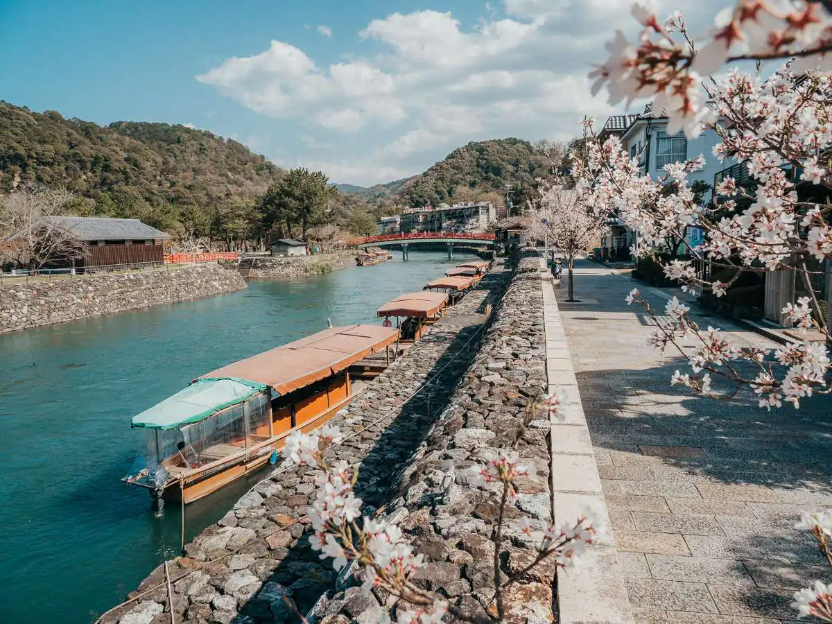 Uji main street with boat and cherry blossoms