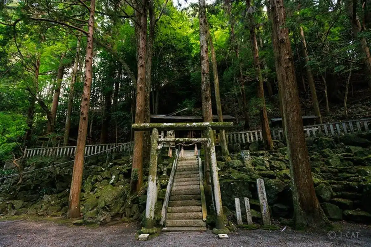 Gate in Uji