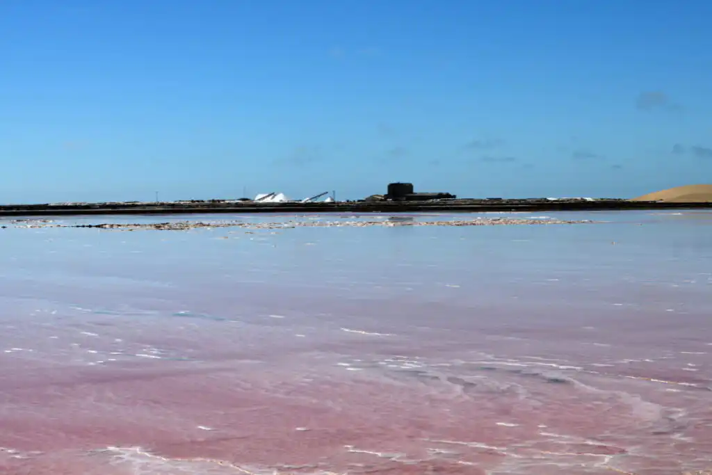 salt mine in Walvis Bay