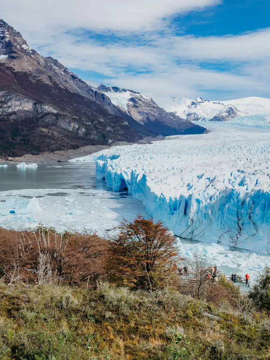 perito moreno glacier with treeline