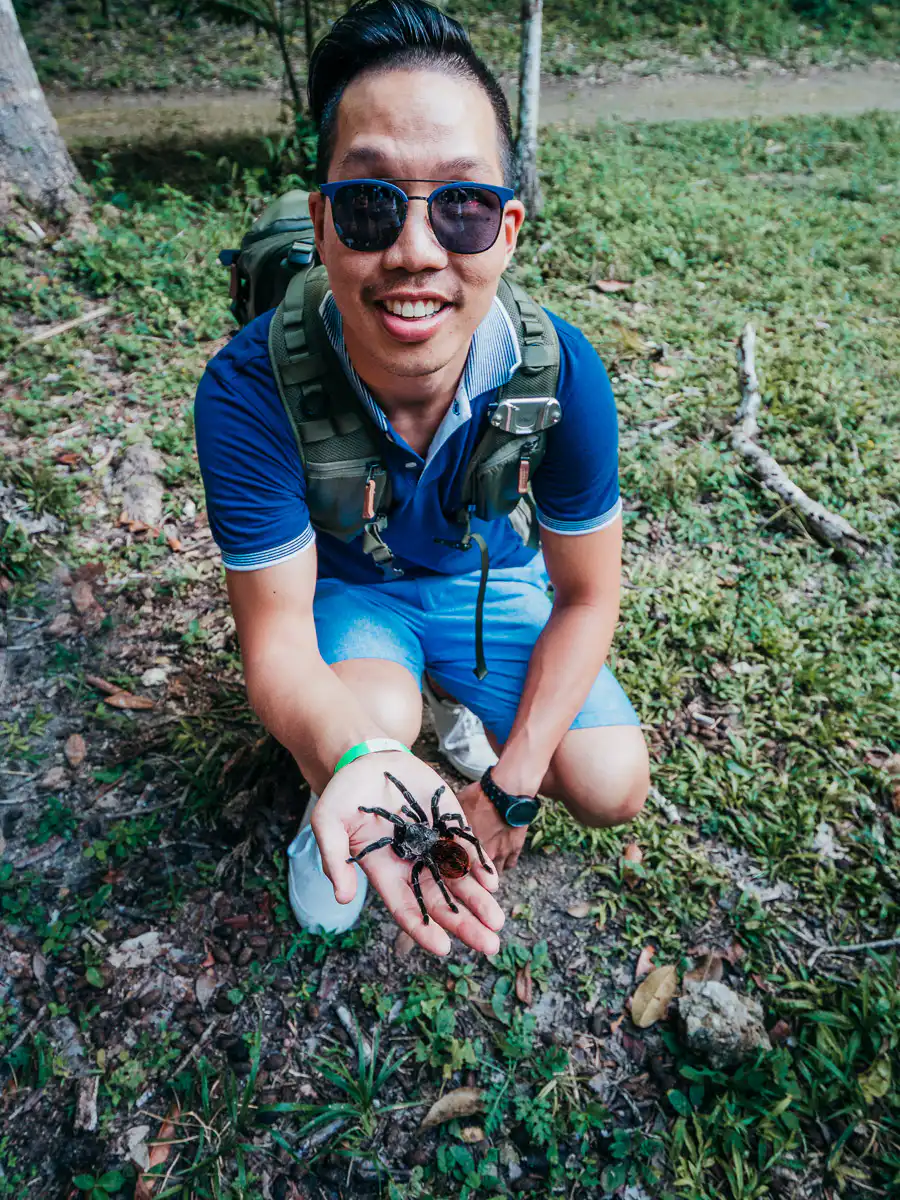 Man holding a tarantula during tikal tour