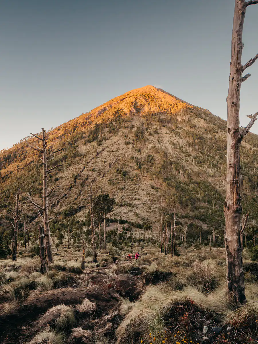 slopes of the volcano acatenango in guatemala