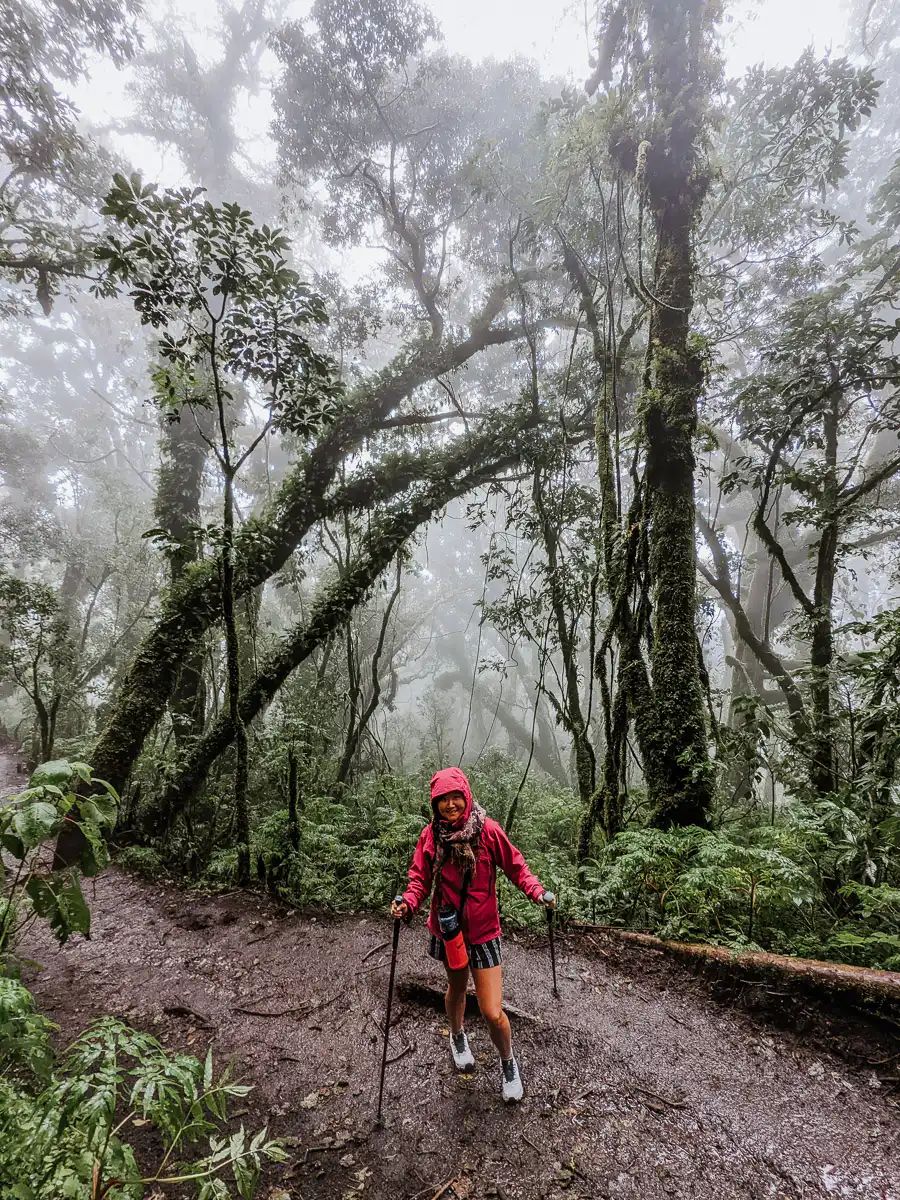 hiking up acatenango in antigua
