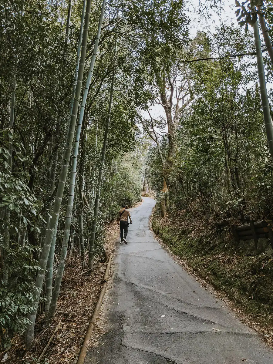 walking uphill at fushimi inari