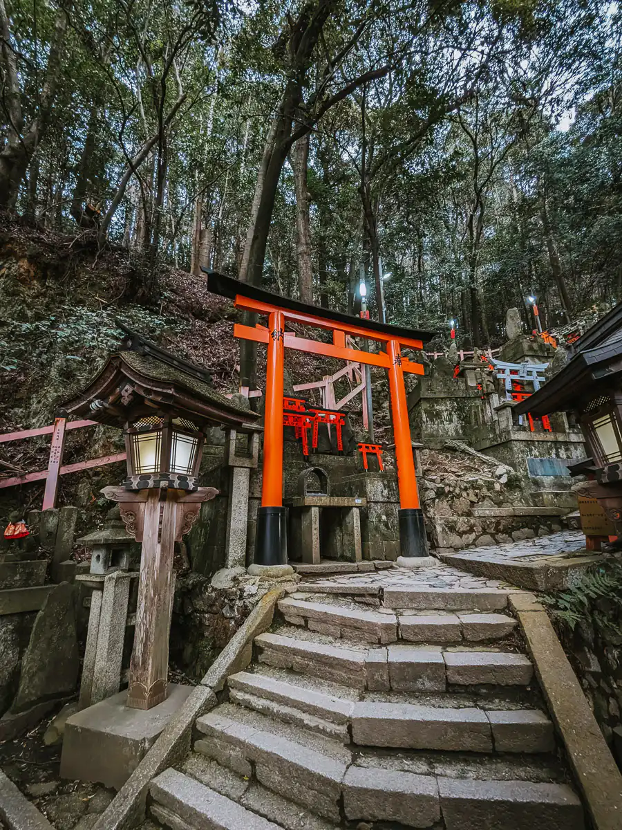 tori gates at fushimi inari