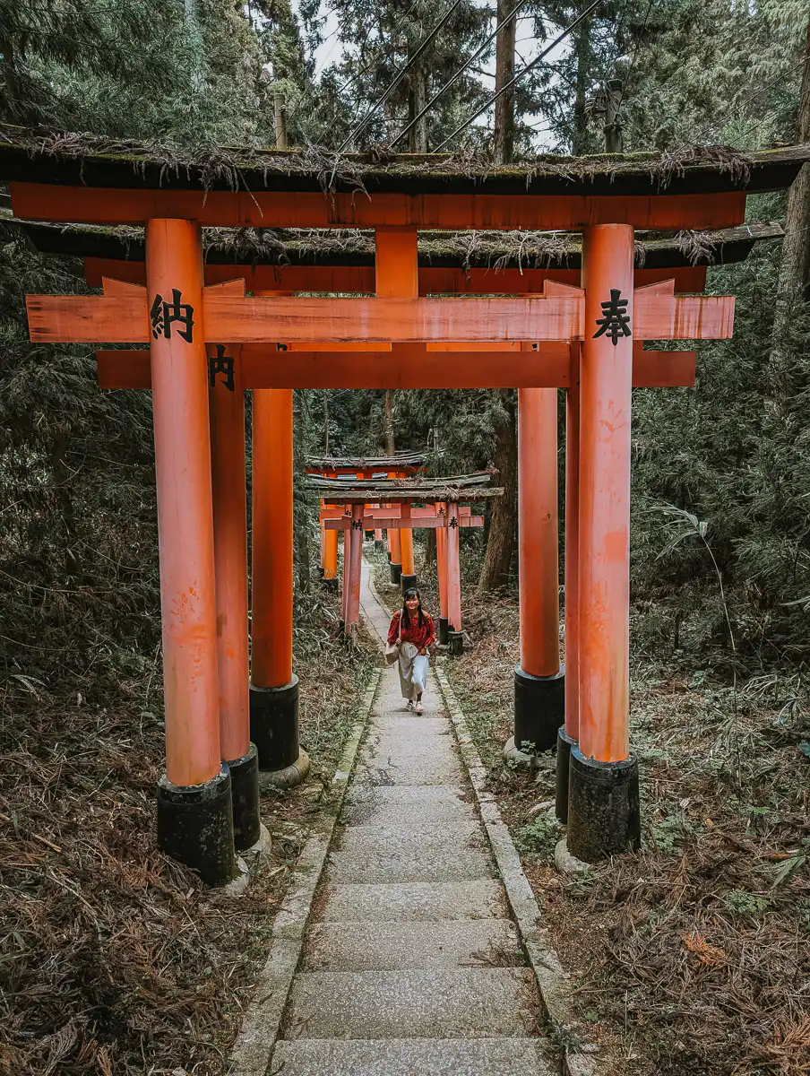 forest trail of fushimi inari