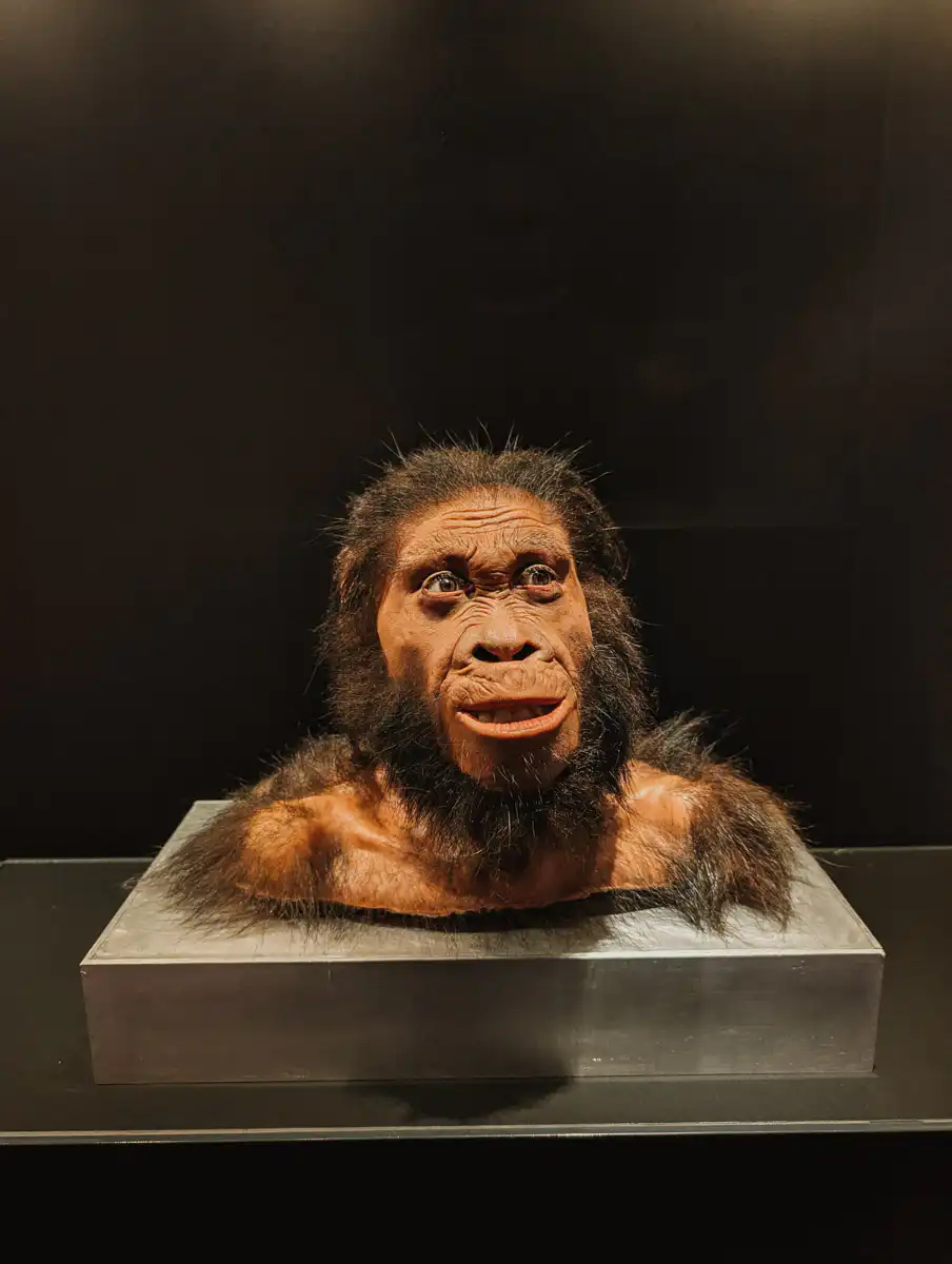 Cradle of Humankind