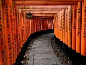 red tori gates at fushimi inari