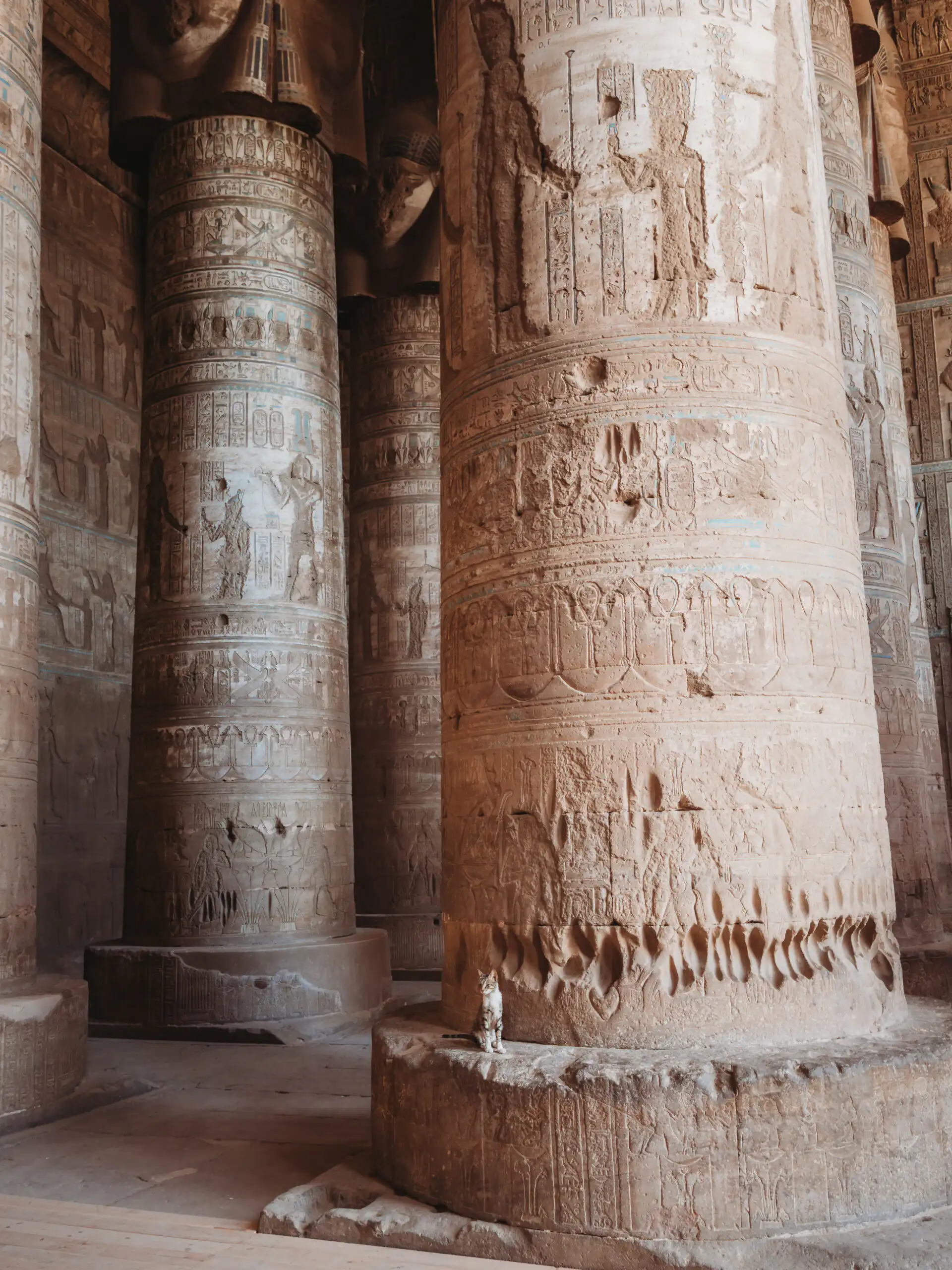 cat and pillar at dendera temple