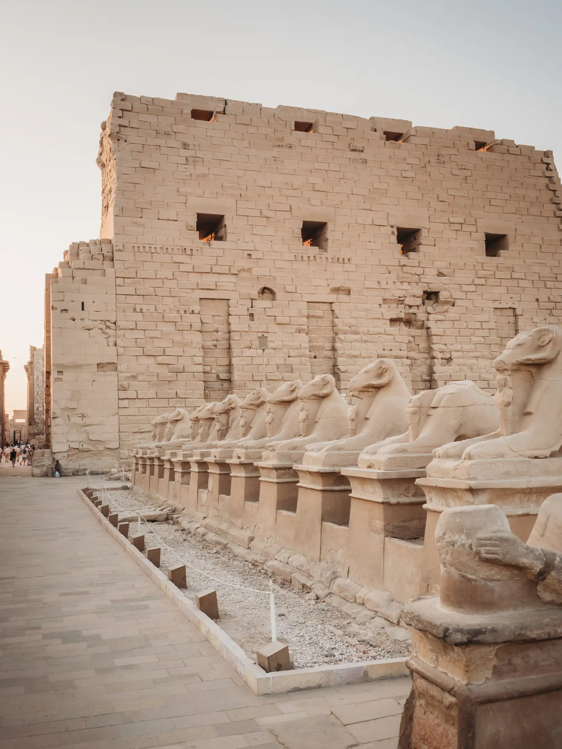 sphynxes in luxor