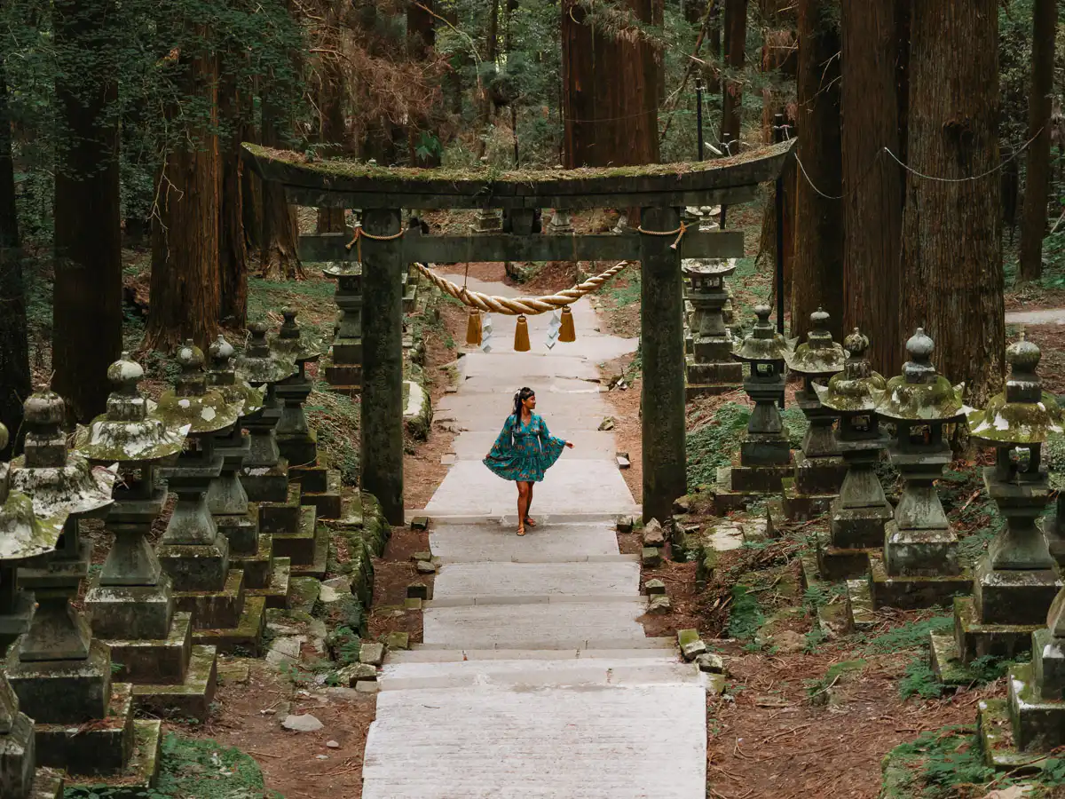 forest shrine in mount aso