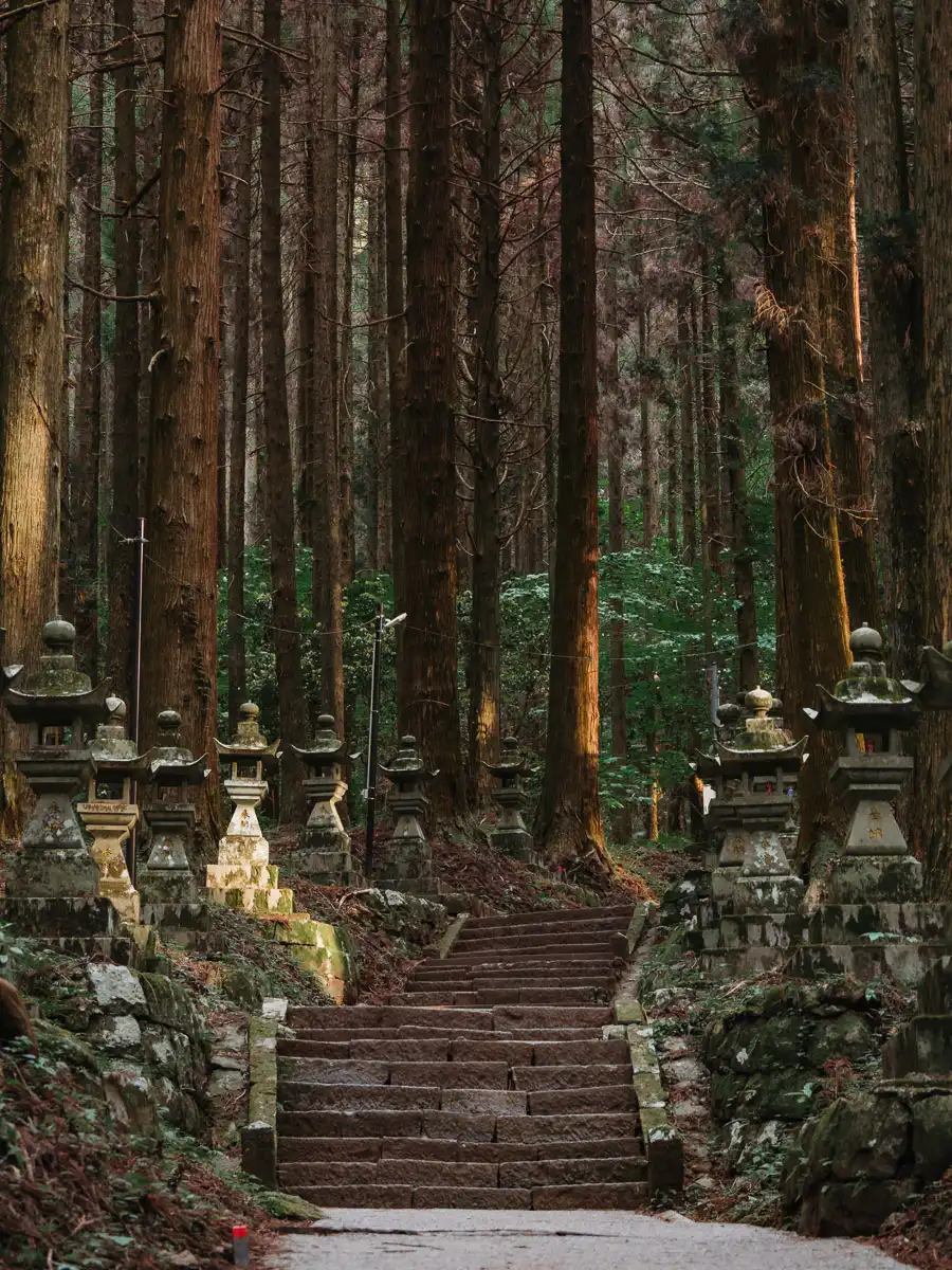 forest shrine in mount aso