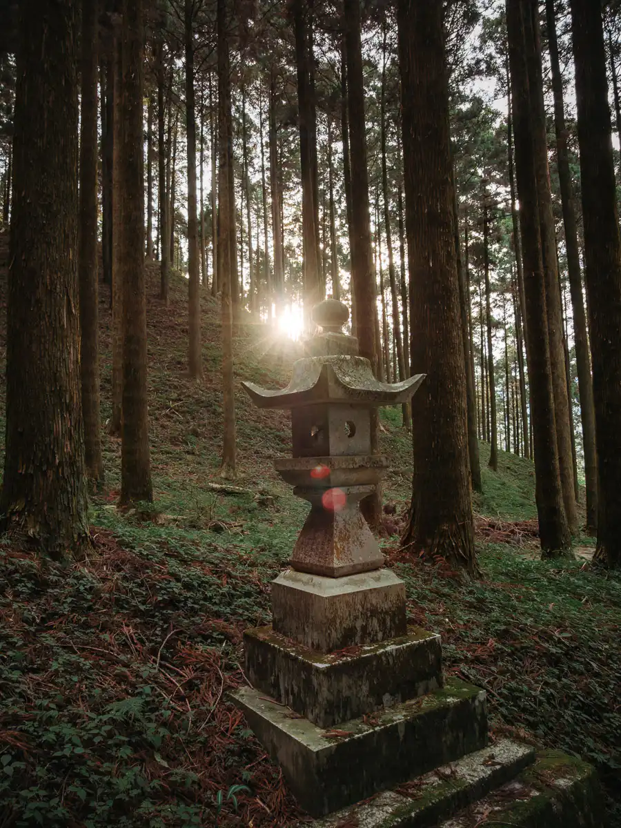 forest shrine in mount aso