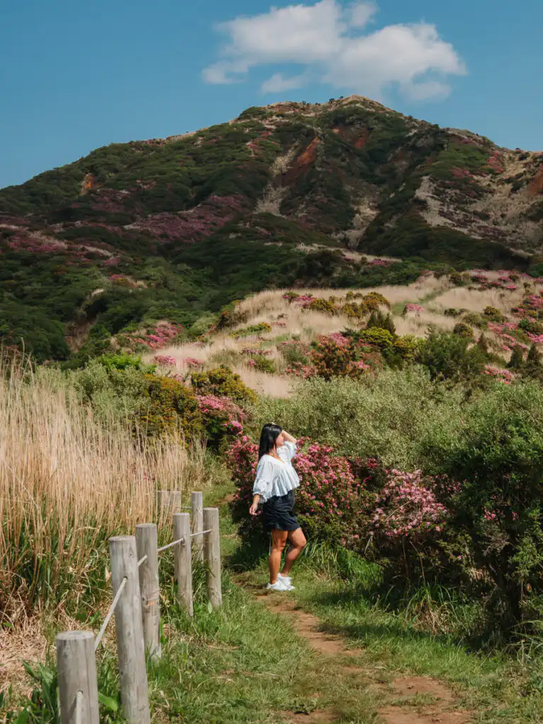 hiking up Mt eboshidake