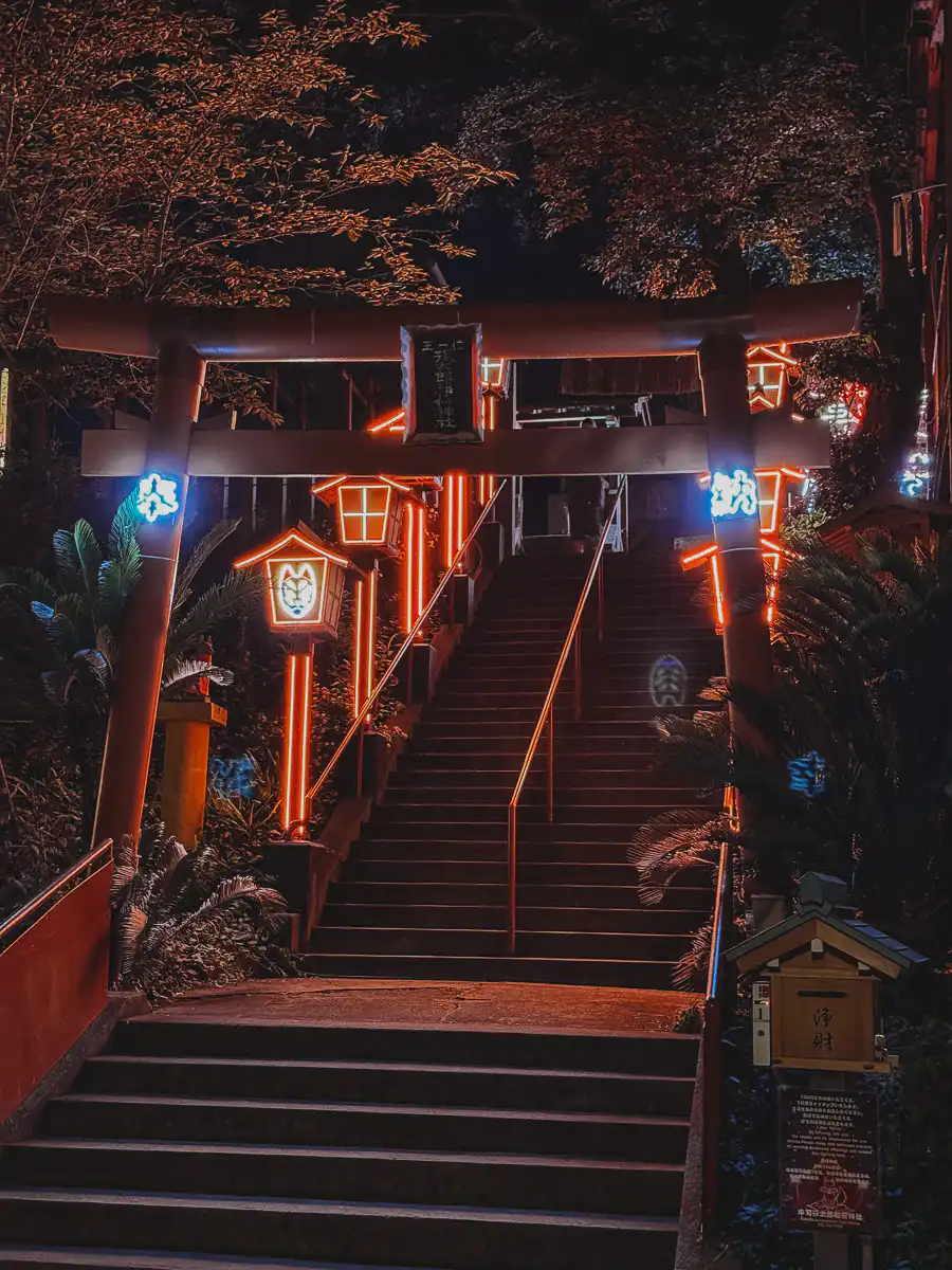 the light up shrine at night