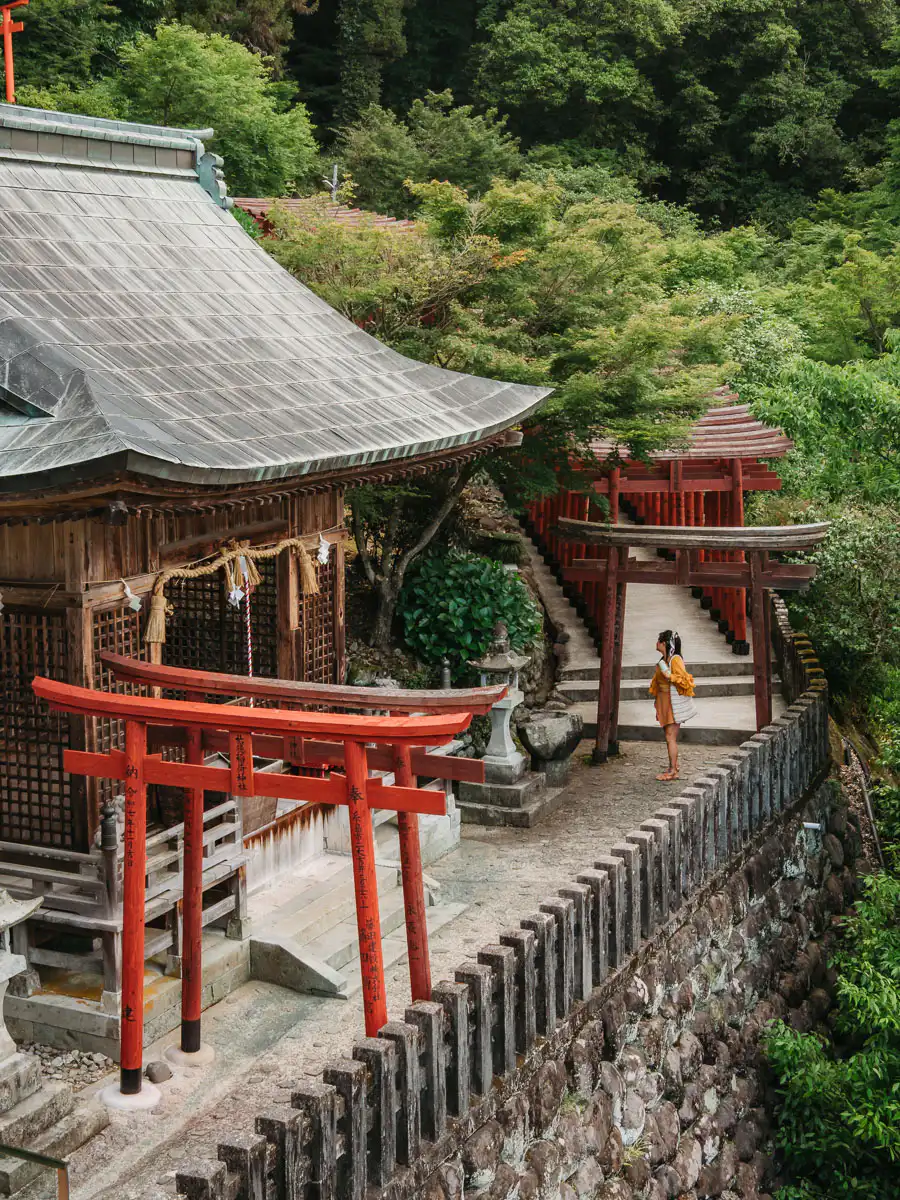 yutoku inari shrine, view from above including one tori gate