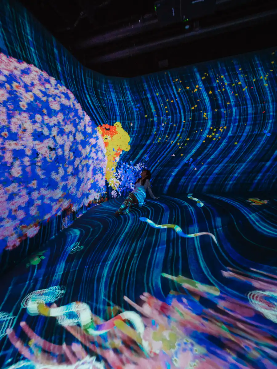 team lab forest digital projections