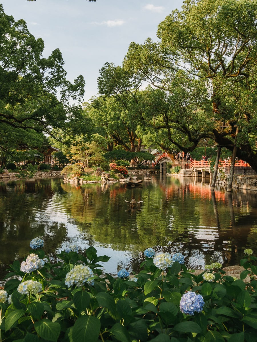 view of the pond at Dazaifu temple In Fukuoka