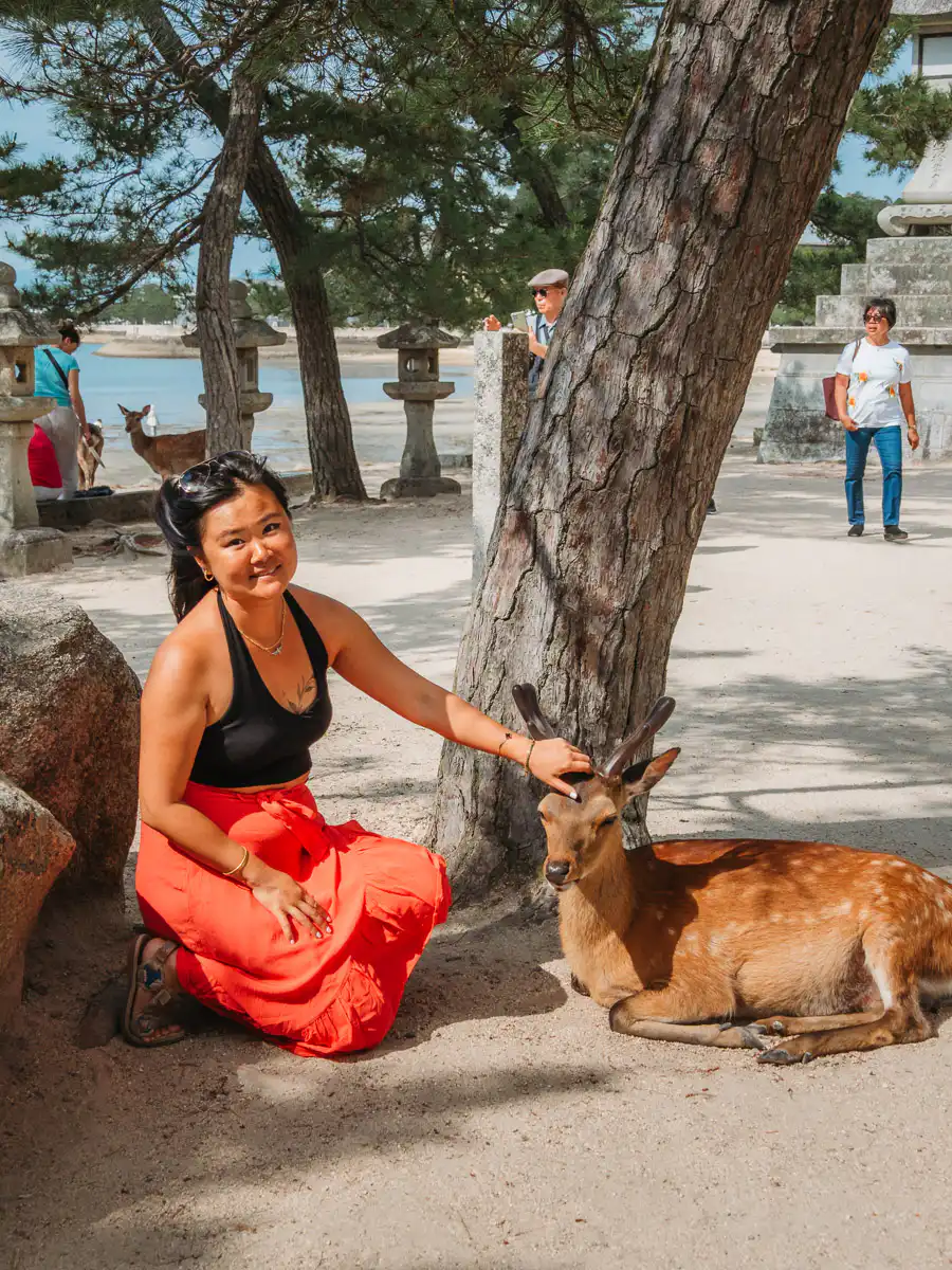 deer at miyajima